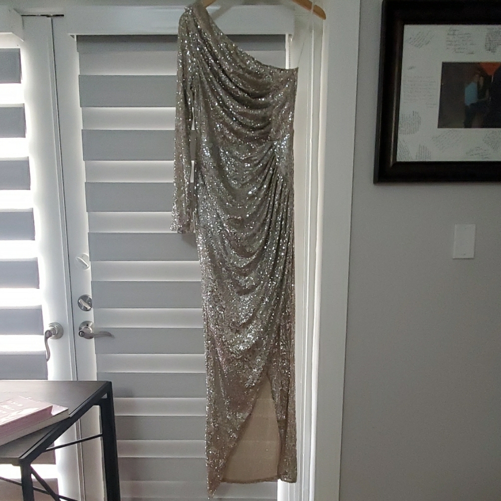 Shining Silver Gown